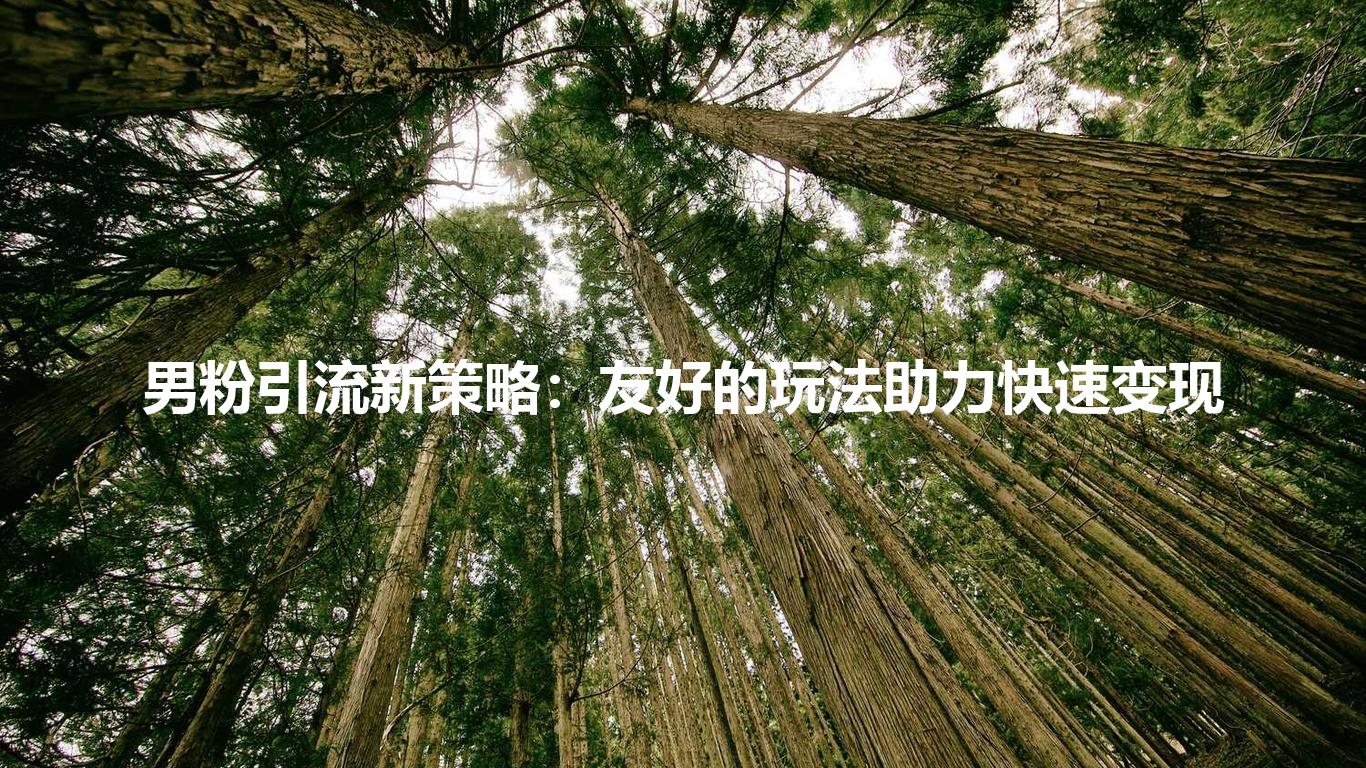 男粉引流新策略：友好的玩法助力快速变现