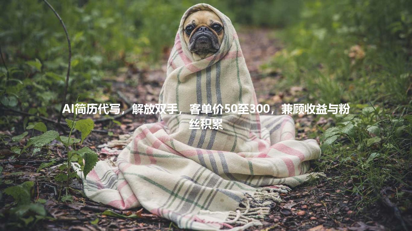 AI简历代写，解放双手，客单价50至300，兼顾收益与粉丝积累