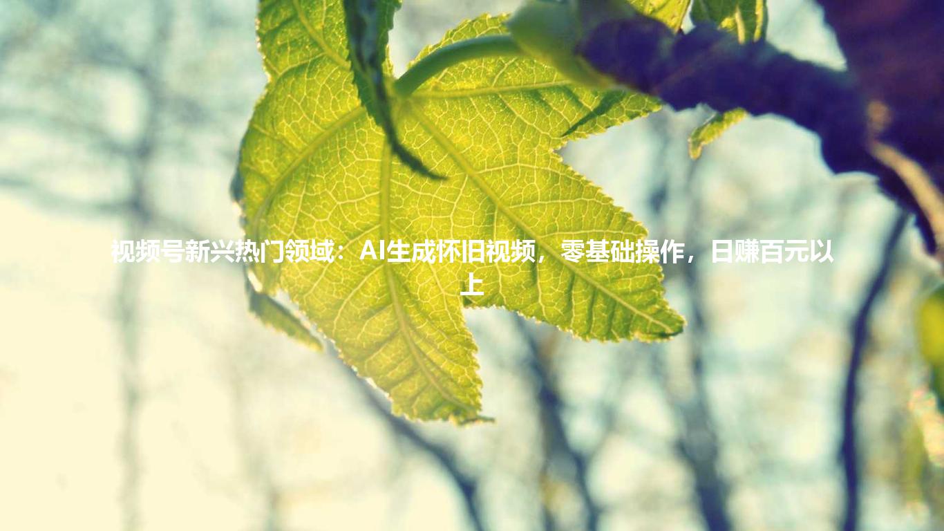 视频号新兴热门领域:AI生成怀旧视频,零基础操作,日赚百元以上