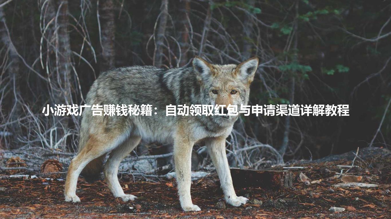 小游戏广告赚钱秘籍：自动领取红包与申请渠道详解教程