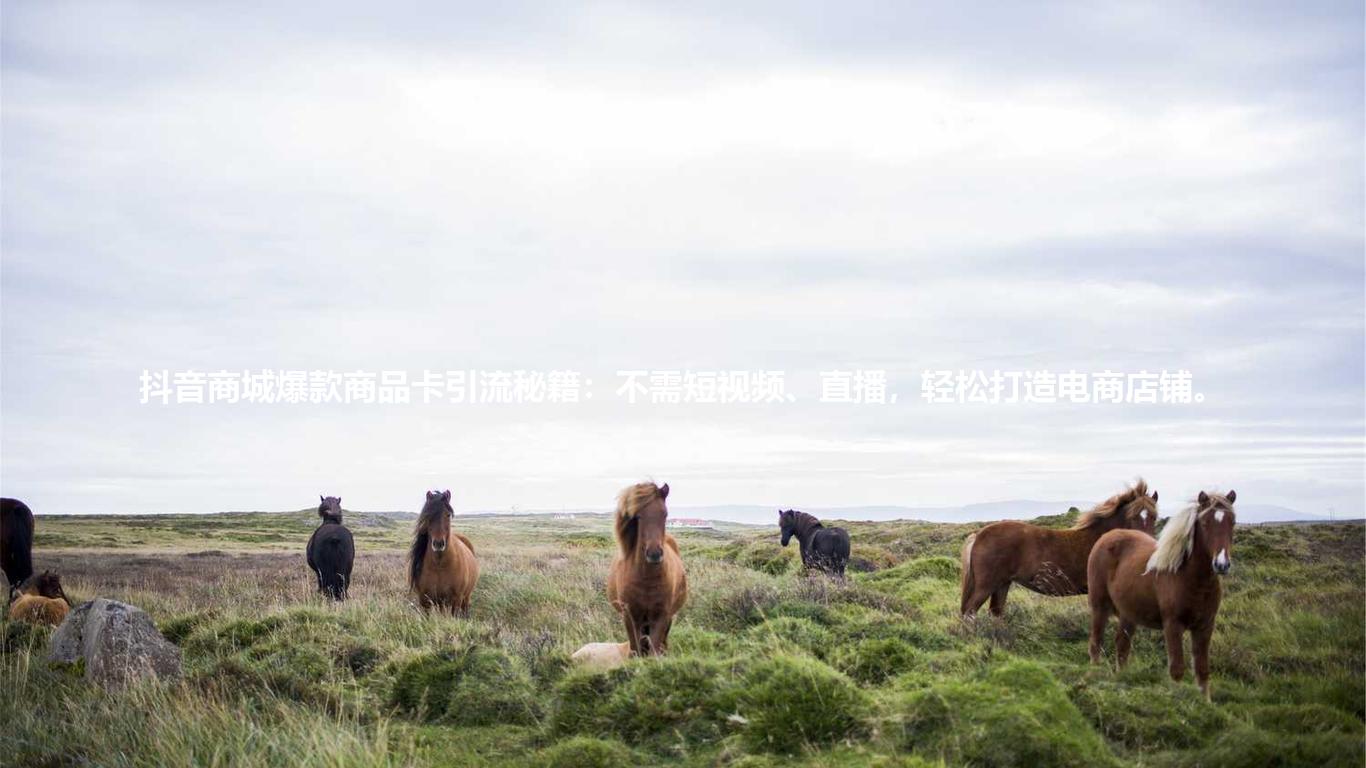抖音商城爆款商品卡引流秘籍：不需短视频、直播，轻松打造电商店铺。