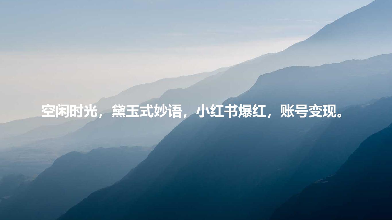 空闲时光,黛玉式妙语,小红书爆红,账号变现。