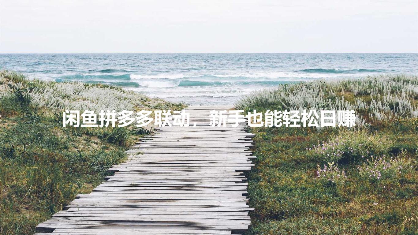 闲鱼拼多多联动,新手也能轻松日赚