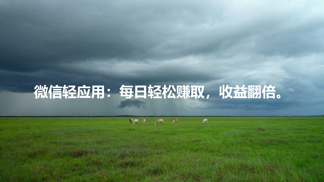 微信轻应用:每日轻松赚取,收益翻倍。