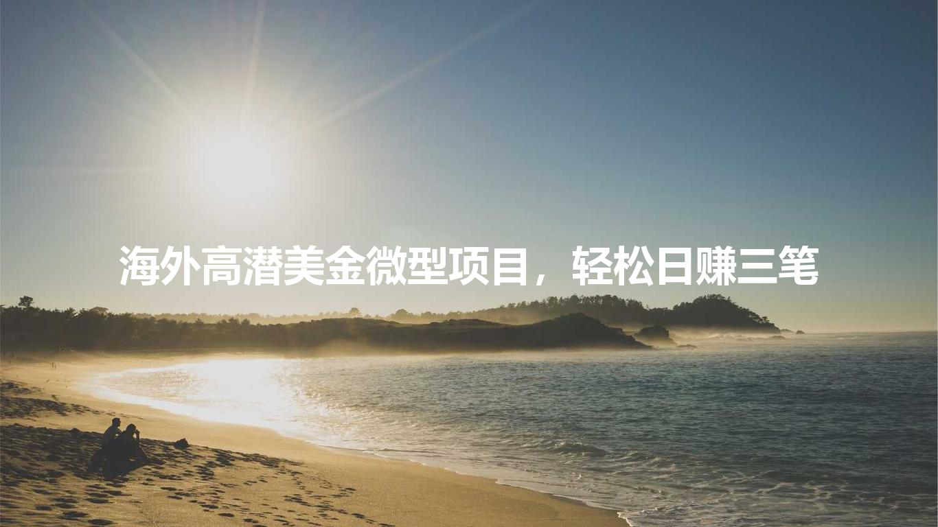 海外高潜美金微型项目，轻松日赚三笔