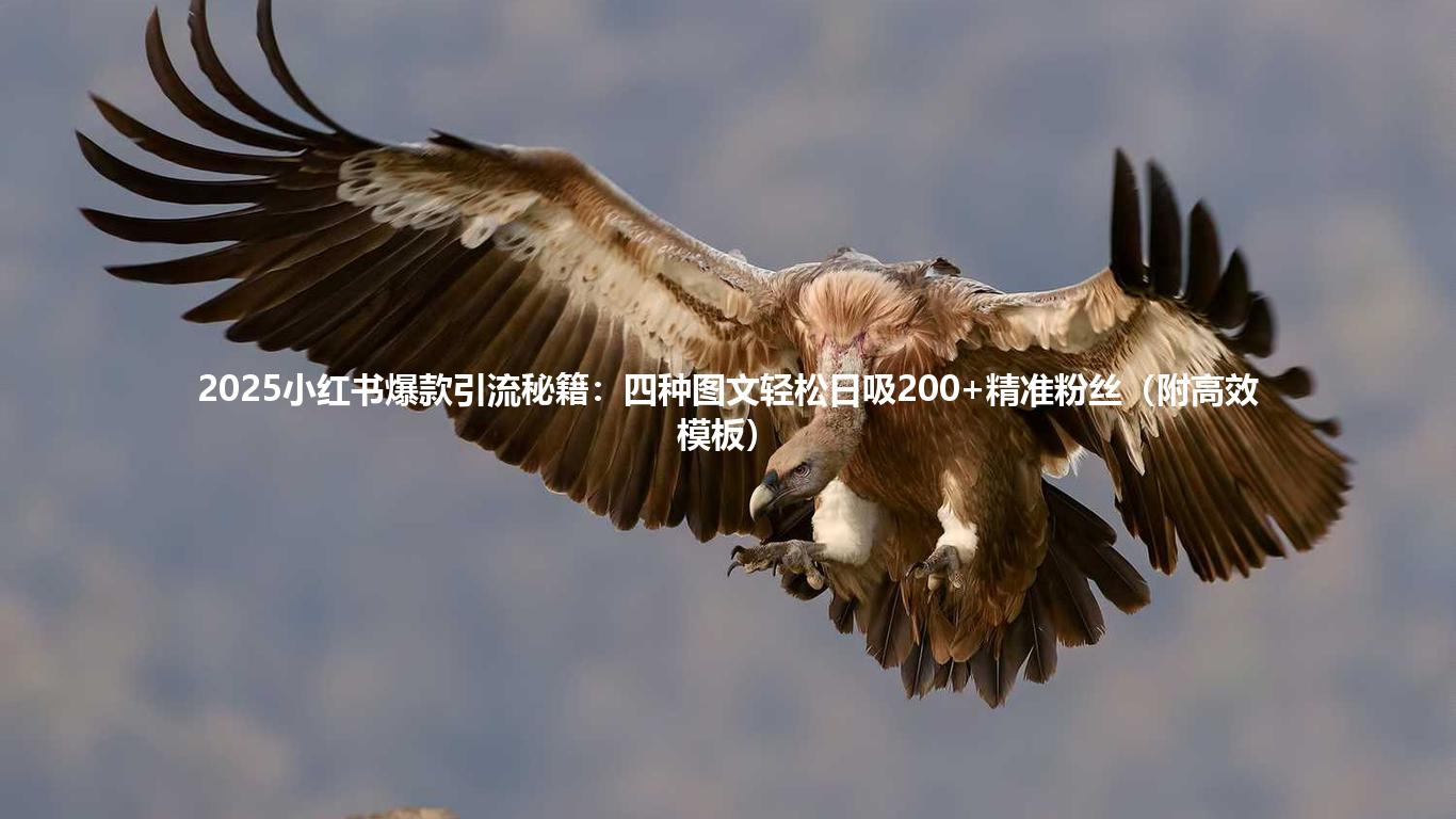 2025小红书爆款引流秘籍:四种图文轻松日吸200+精准粉丝(附高效模板)