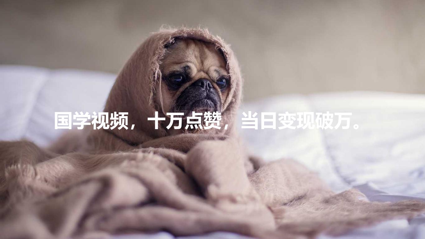 国学视频，十万点赞，当日变现破万。