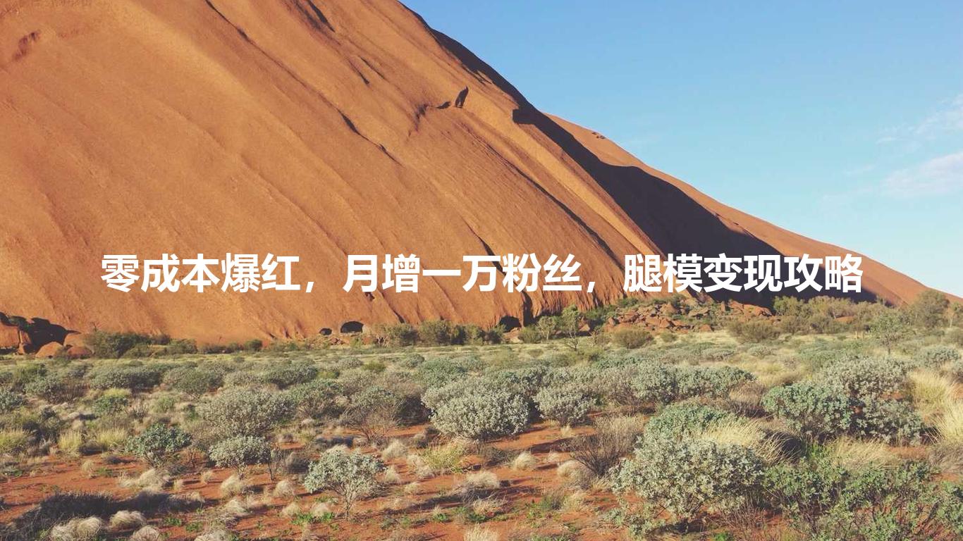 零成本爆红,月增一万粉丝,腿模变现攻略